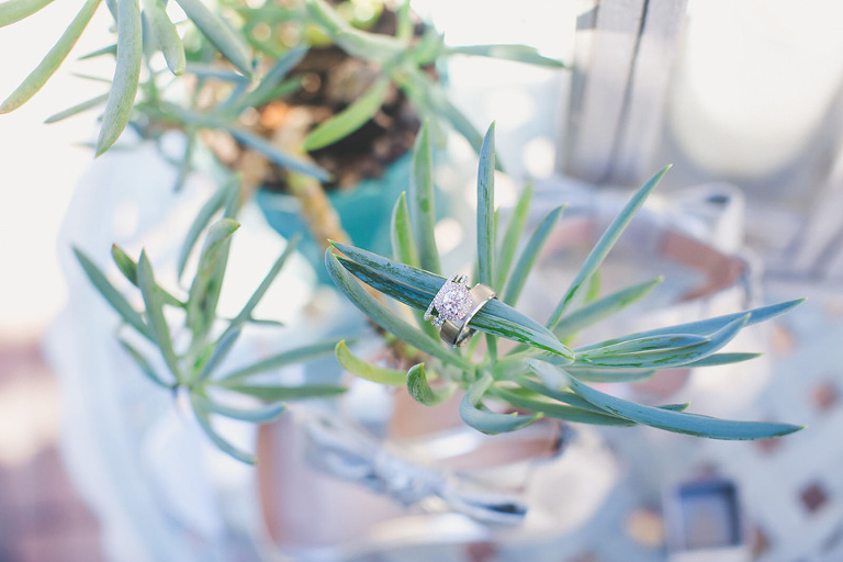 Wedding Photography Jacksonville Florida